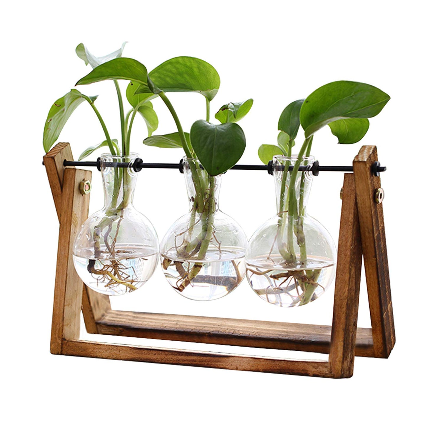 XXXFLOWER Plant Terrarium with Wooden Stand - Air Planter Bulb Glass Vase Metal Swivel Holder - Retro Tabletop for Hydroponics - 3 Bulb Vase
