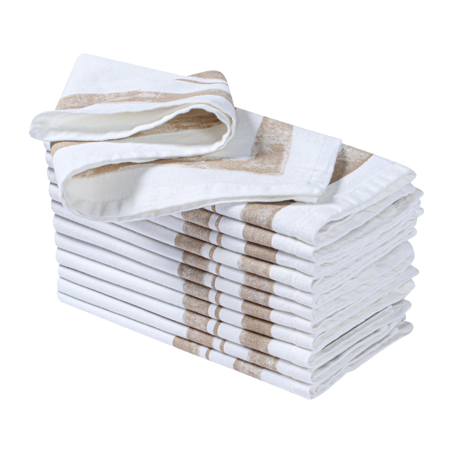 Palisa Cloth Dinner Napkins Set of 12 46cm × 46cm - Thanksgiving Frame Border - Beige