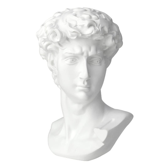 Norrclp 28cm Greek Statue of David - Classic Roman Bust Greek Mythology Sculpture for Home Décor