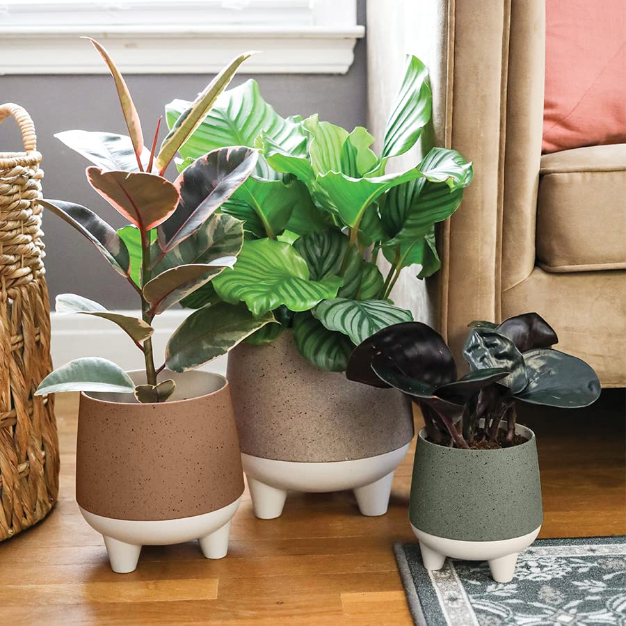 The HC Companies 20cm Orion Self Watering Planter - Lightweight Indoor Plastic Plant Pot - Sage