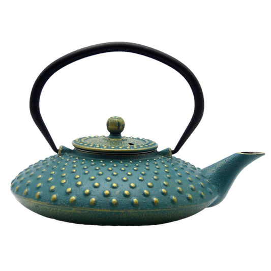 SECHUDO 800ml Small Cast Iron Teapot - Japanese Style Tea Kettle with Stainless Steel Infuser - Flat Pattern - Colourful