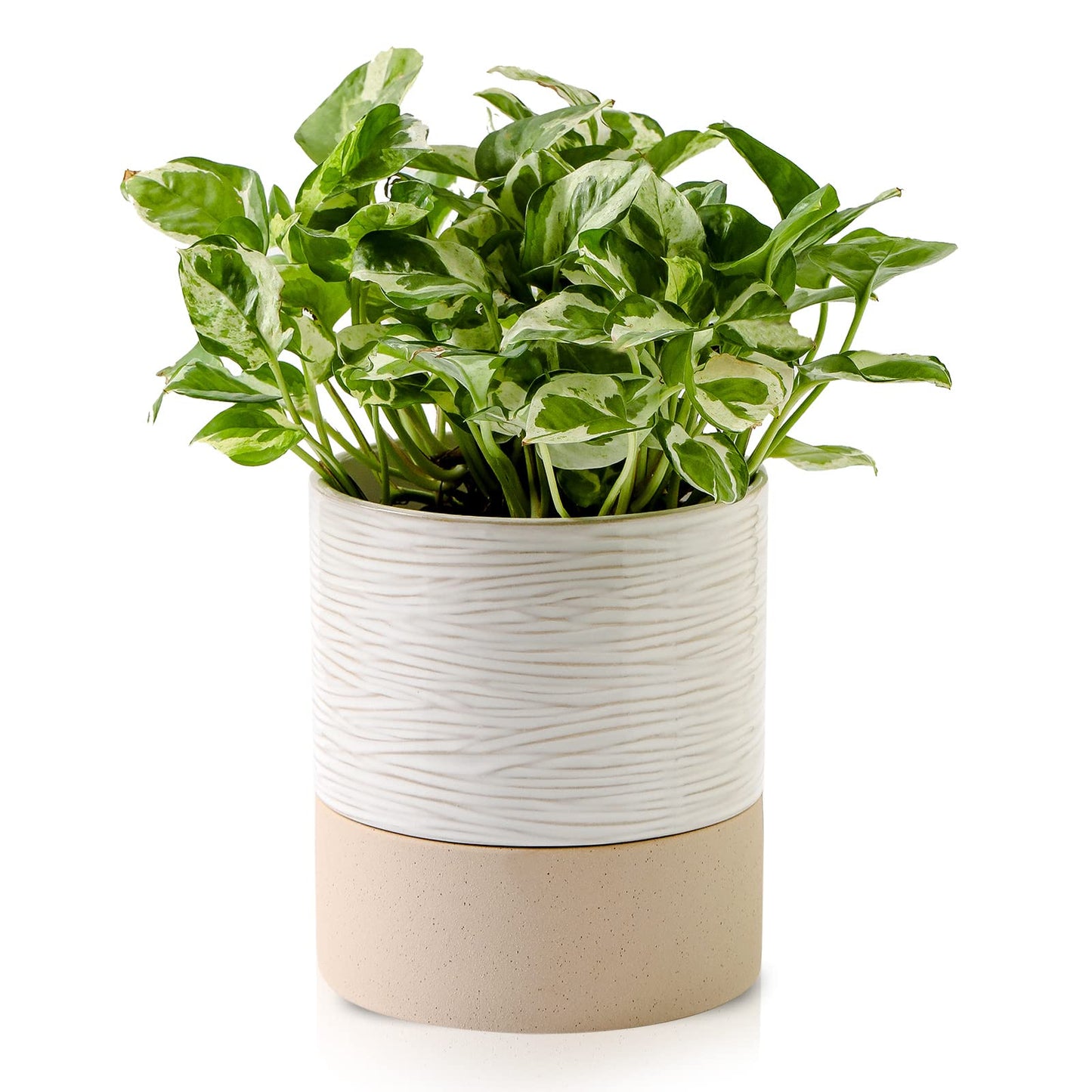 Nihow Self Watering Plant Pot - 15cm Ceramic Planter with Drainage Hole & Water Storage