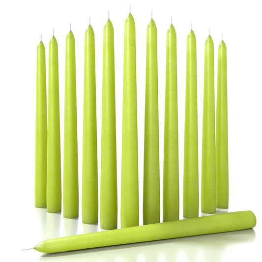 CANDWAX 25cm Taper Candles - Set of 12 - Dripless Unscented Candlesticks - 8 Hour Burn