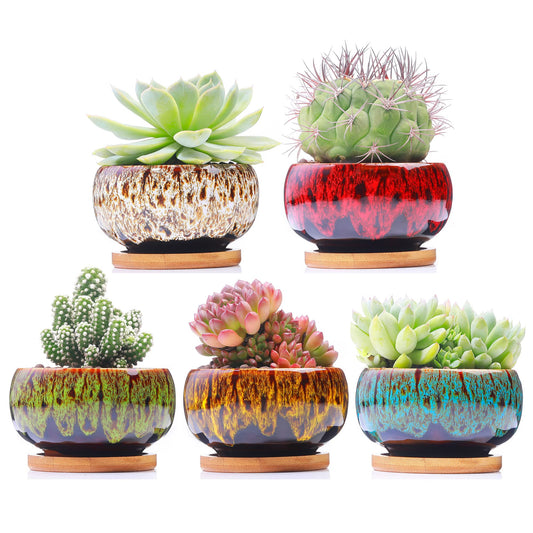 LamDawn Cute Ceramic Succulent Garden Pots - Planter with Drainage and Attached Saucer - Set of 5 - Round - Plants Not Included