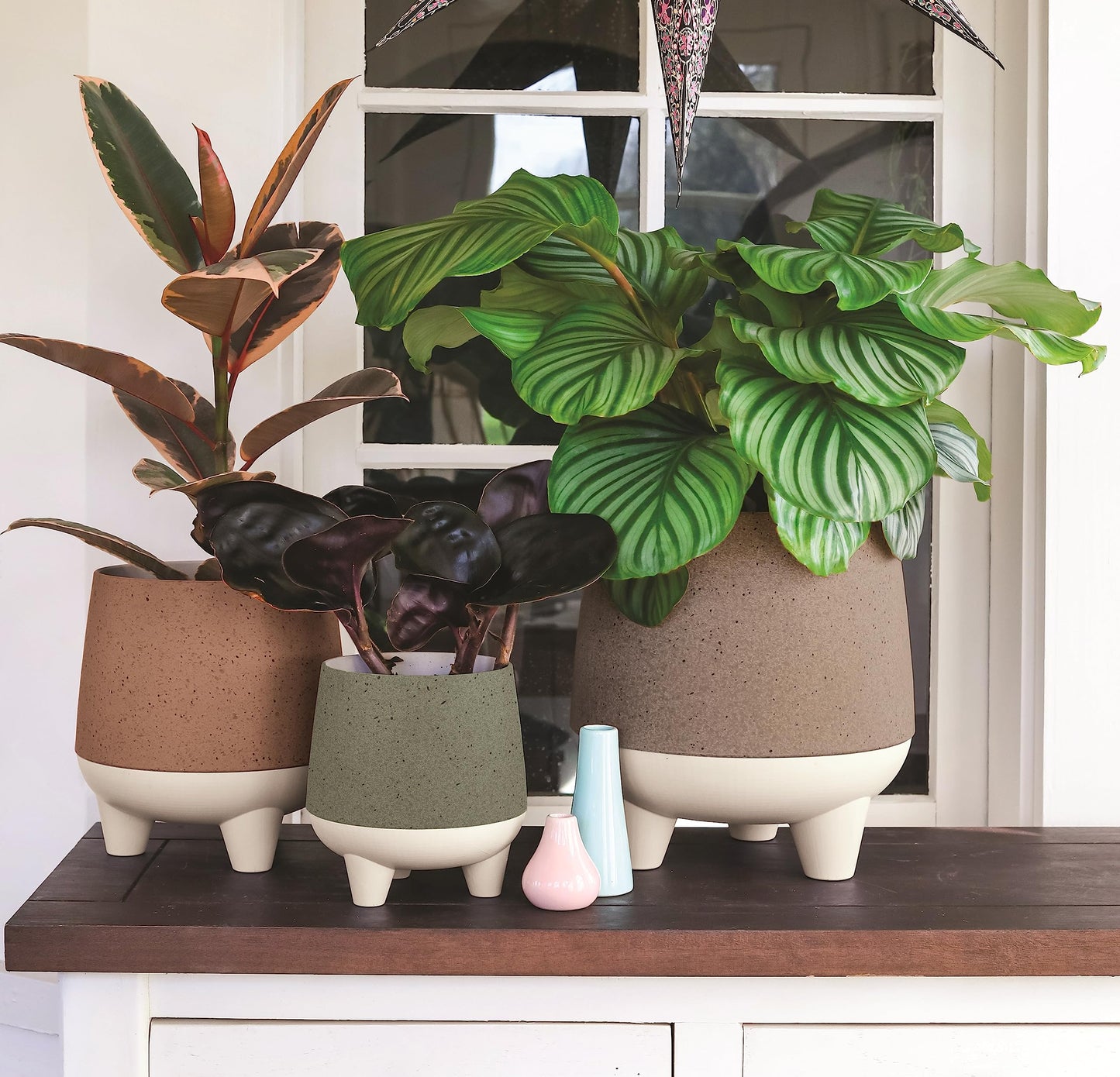 The HC Companies 20cm Orion Self Watering Planter - Lightweight Indoor Plastic Plant Pot - Sage